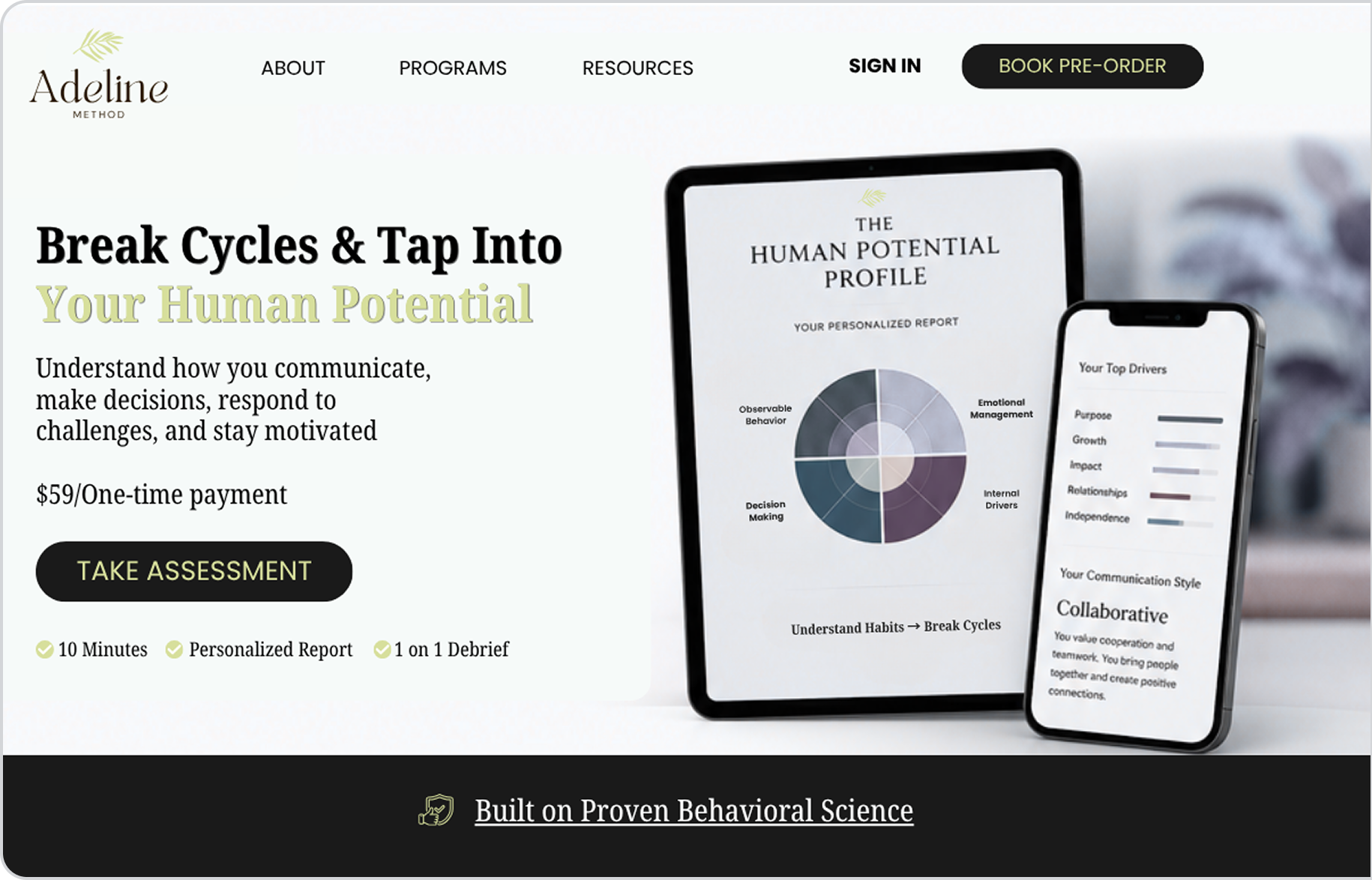 Sample branded assessment portal for North Star Career Coaching